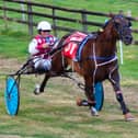 Fold Megastar wins the Grade A final