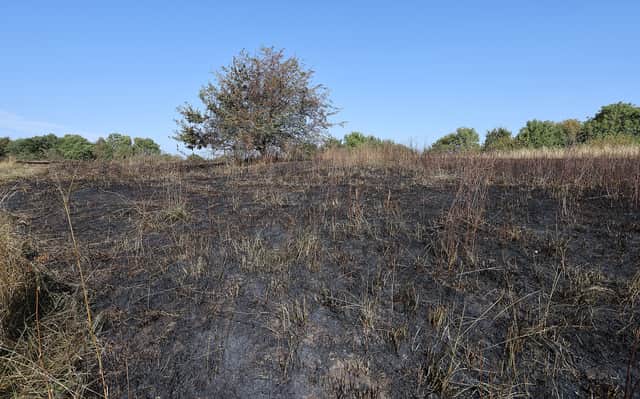 Scene of the fire on a hill off Riddings Close in Ketley. Photo: Phil Blagg Photography