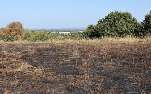 Firefighters from across Shropshire rushed to the scene, where they reported the fire stretched across 100 metres of land. Photo: Phil Blagg Photography