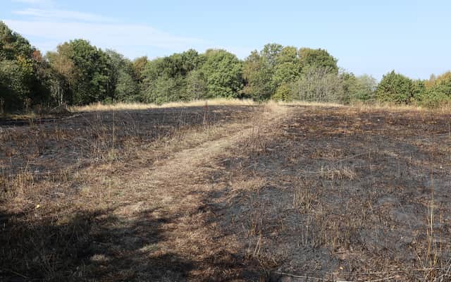 Scene of the fire on a hill off Riddings Close in Ketley. Photo: Phil Blagg Photography