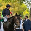 Avec Toi after winning at Deauville