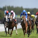 Lake Forest (centre) could run over six furlongs at Haydock