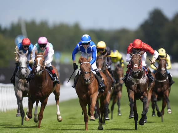 Lake Forest (centre) could run over six furlongs at Haydock