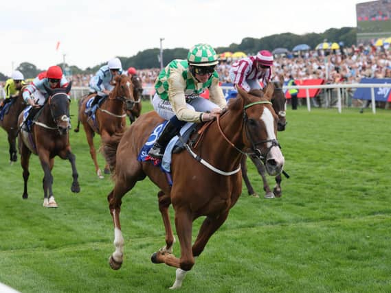 Daiquiri Bay winning the Sky Bet Ebor at York