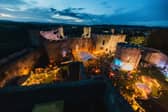Ludlow Food festival (Peter Lowbridge)