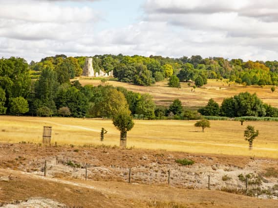 View of a large estate, with wide expanses of dry, brown grass