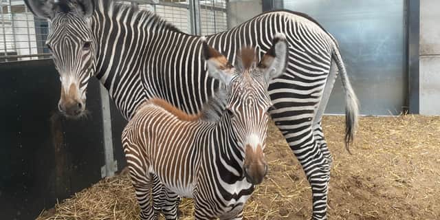 Oakley and mum (WMSP)