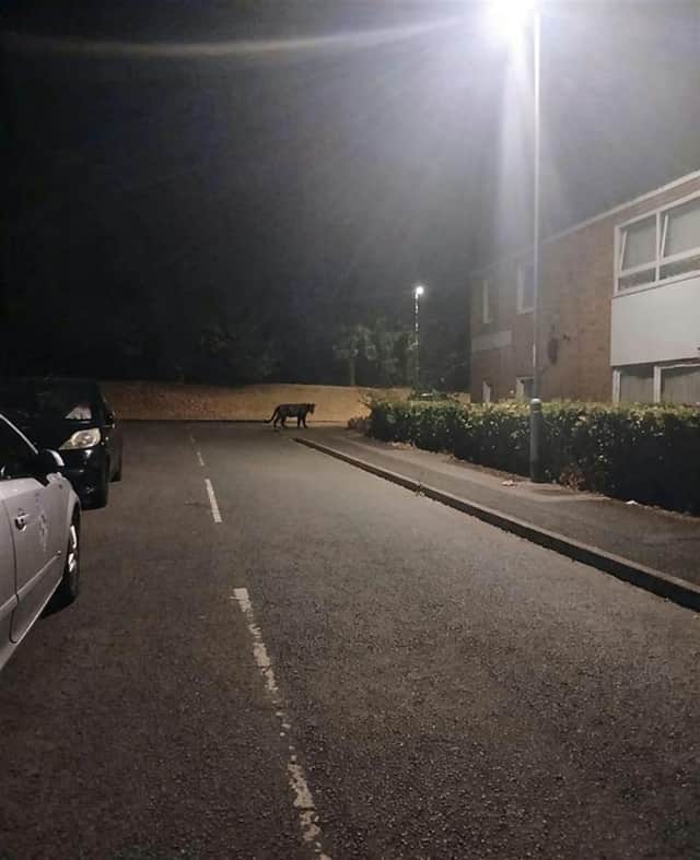 The photo shared by Clare Hodges which she claims she took near her home
