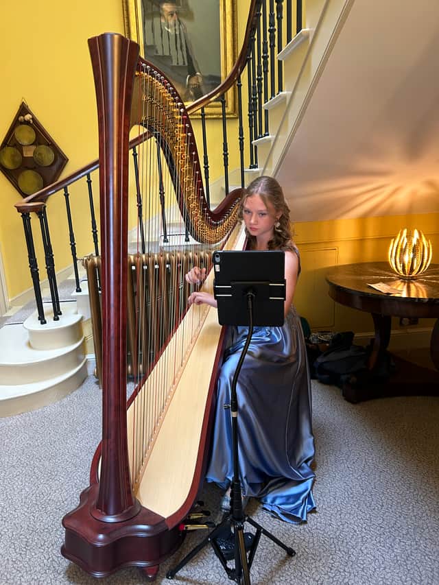 Talented harpist Florence Hughes provided music for the guests.