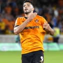 Raul Jimenez in the club's gold home kit
