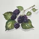 An artist exhibition is coming soon, spotlighting the talent of Radnorshire artists. 