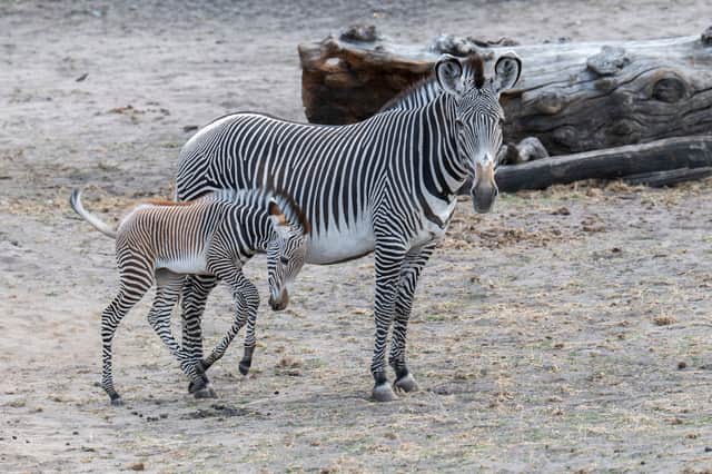 Ozara and mum (WMSP)