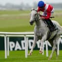 Estrange winning the Pretty Polly Stakes at the Curragh