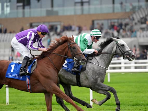 Push The Boat Out gets up to win the Heider Family Stables Round Tower Stakes