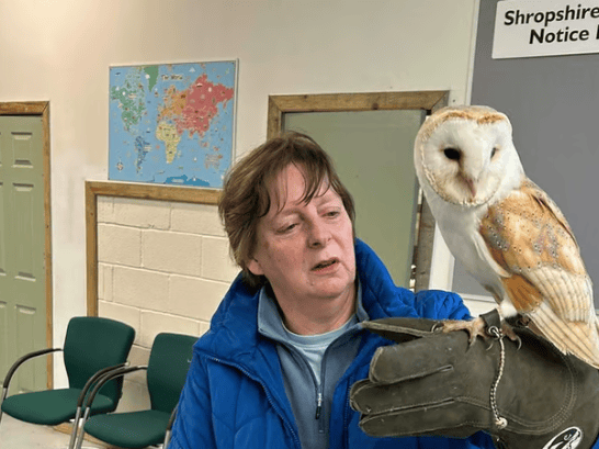 Owl-handling at Shropshire Falconry