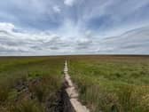 A flagstone path leading through Moorland under a cloudy sky
