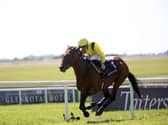 Almaqam could wait for British Champions Day