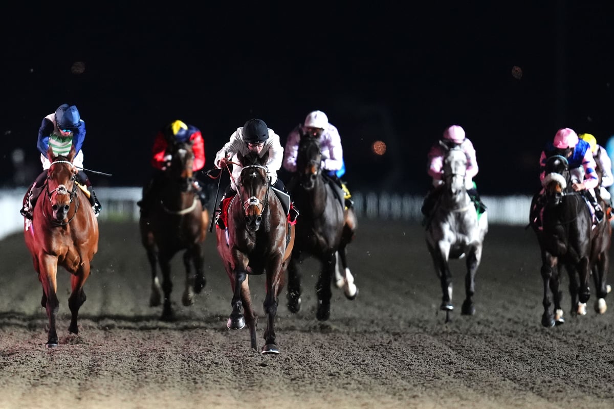 Constitution Hill set for serious test at Kempton on Saturday