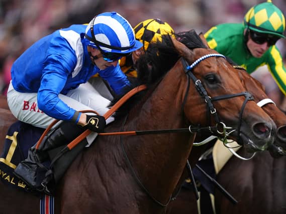 Almeraq won at Royal Ascot