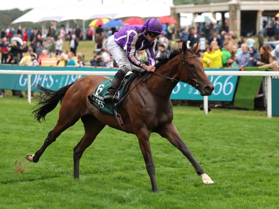 Sun Goddess winning at York