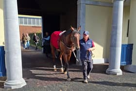 Constitution River at Ballydoyle on Monday