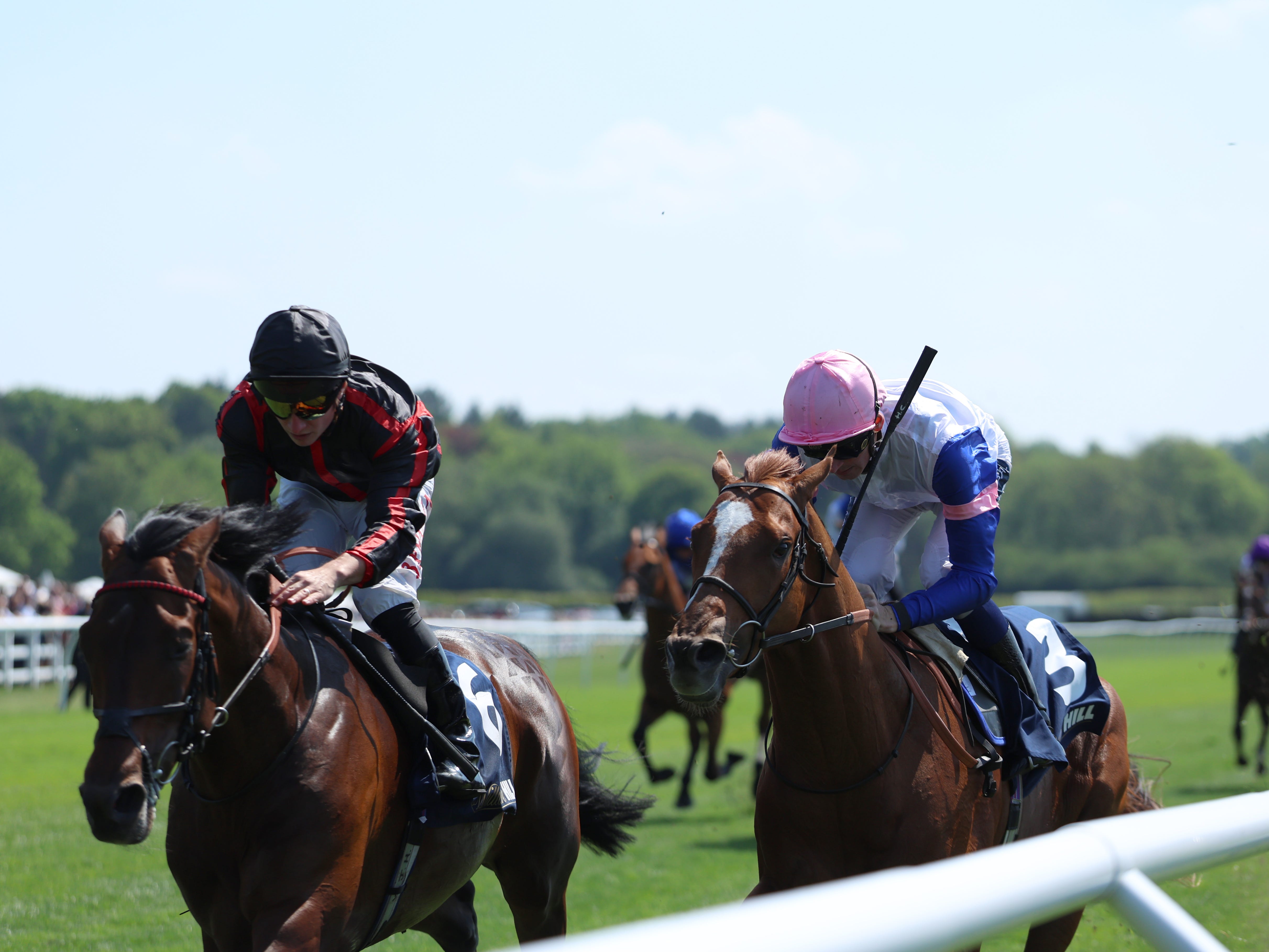 Maltese Cross (left) winning at Lingfield