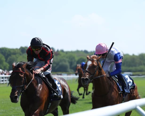Maltese Cross (left) winning at Lingfield