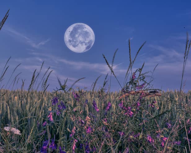 This month's full moon is known as the harvest moon.