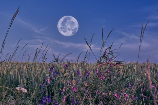 This month's full moon is known as the harvest moon
