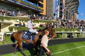 Tiffany at Ascot