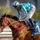 Romantic Warrior has been retired