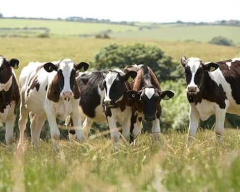 The search is on to find an exceptional individual who has made a lasting impact on the Welsh dairy industry