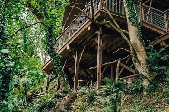 One of By the Wye’s custom built safari tents perched in trees overlooking the River Wye.