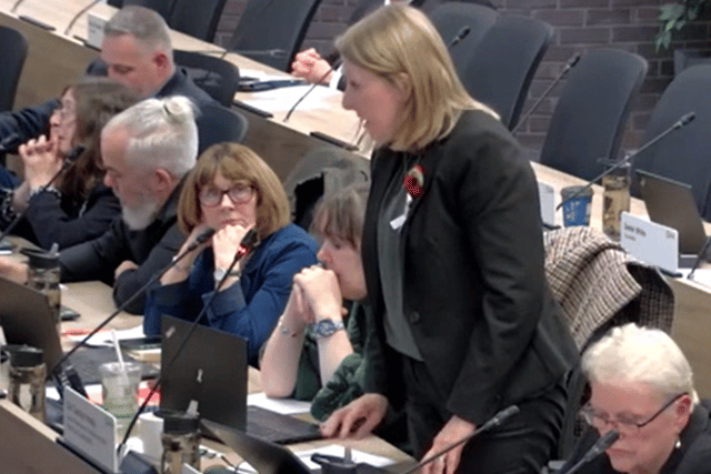 Councillor Carolyn Healy opposing a motion to support small modular reactors.