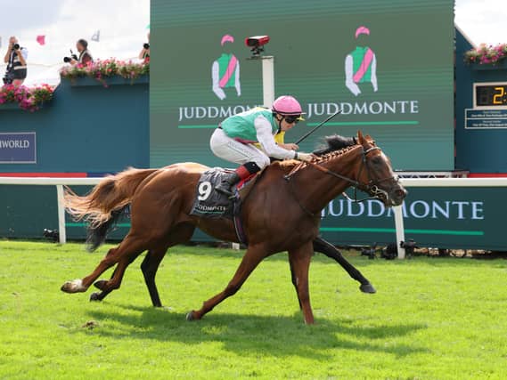 Item is on course for Leopardstown