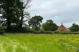 Where the holiday lodges could be built looking east towards Wern.
