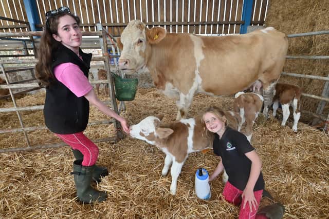 Sophie (left) and Bethany Edge with Lucky Lady and her triplets Tia, Tilly and Tiffany