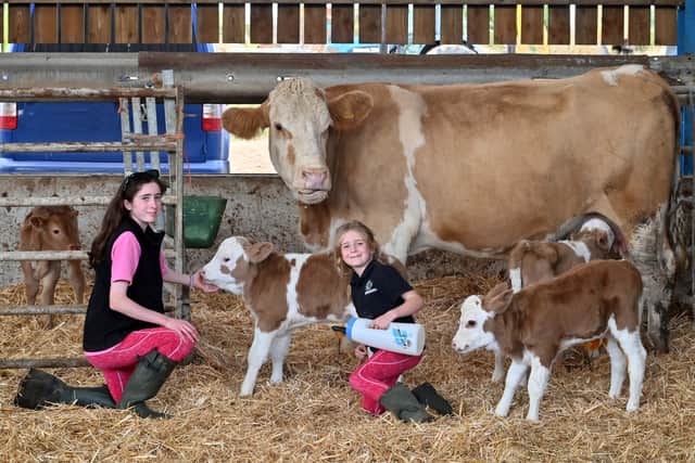 Sophie and Bethany adore the new arrivals