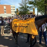 Almeraq after victory at Haydock