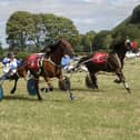 Matteuceuous and Begwyns Trust were involved in a dead heat Picture: Maureen Lloyd