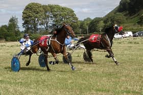 Matteuceuous and Begwyns Trust were involved in a dead heat Picture: Maureen Lloyd