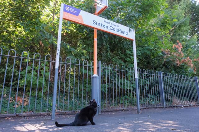 Betty the cat has been officially appointed to the role of Junior Mouse Catcher at Sutton Coldfield station.