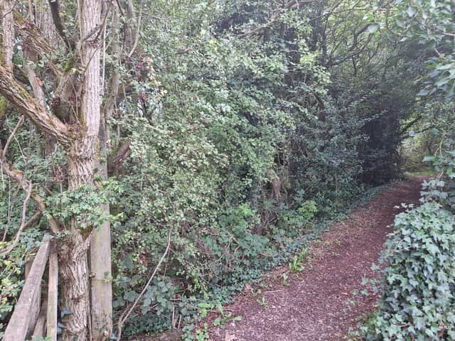 Four people have been arrested on suspicion of murder