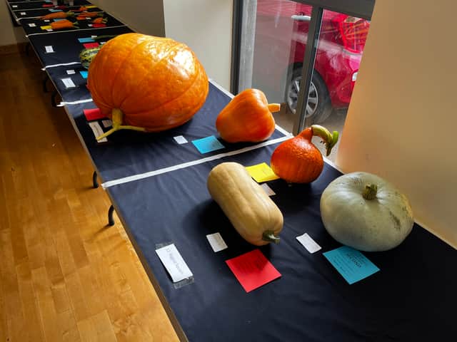Produce at the community show