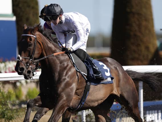 Constitution Hill at Kempton