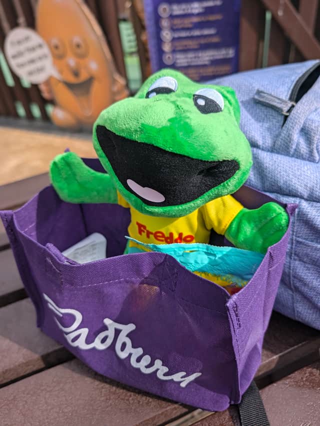 Freddo Toy (£14 from Cadbury World)