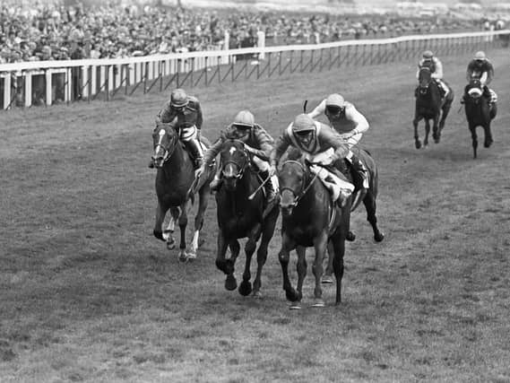 Lester Piggott wins a record-breaking 28th Classic aboard Commanche Run in the 1984 St Leger
