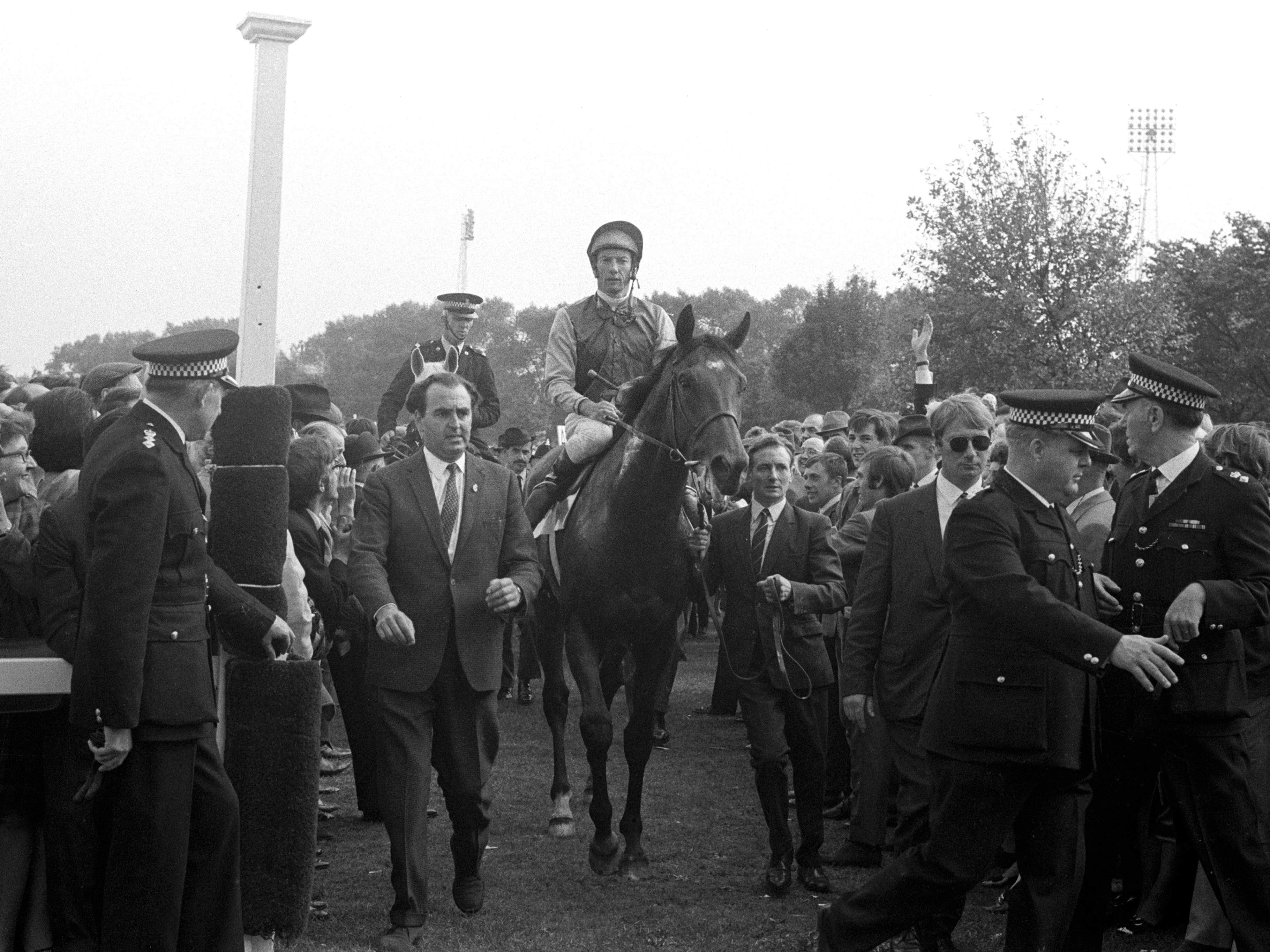 Nijinsky and Lester Piggott are led in after the St Leger in 1970