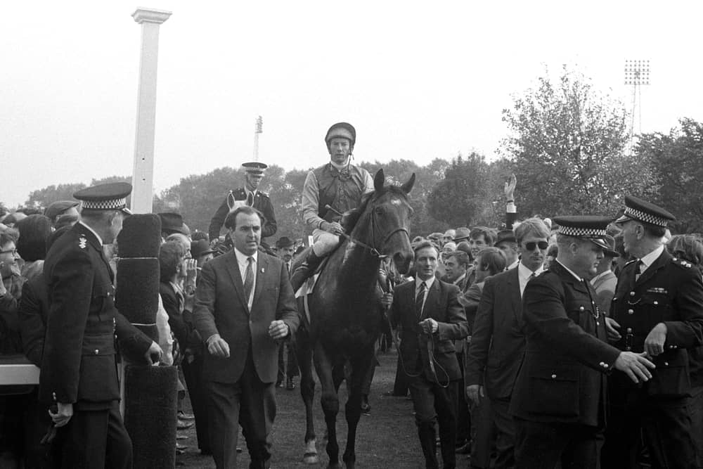 Nijinsky and Lester Piggott are led in after the St Leger in 1970