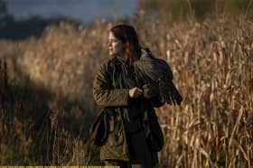 H is for Hawk will be screened at a Kington venue